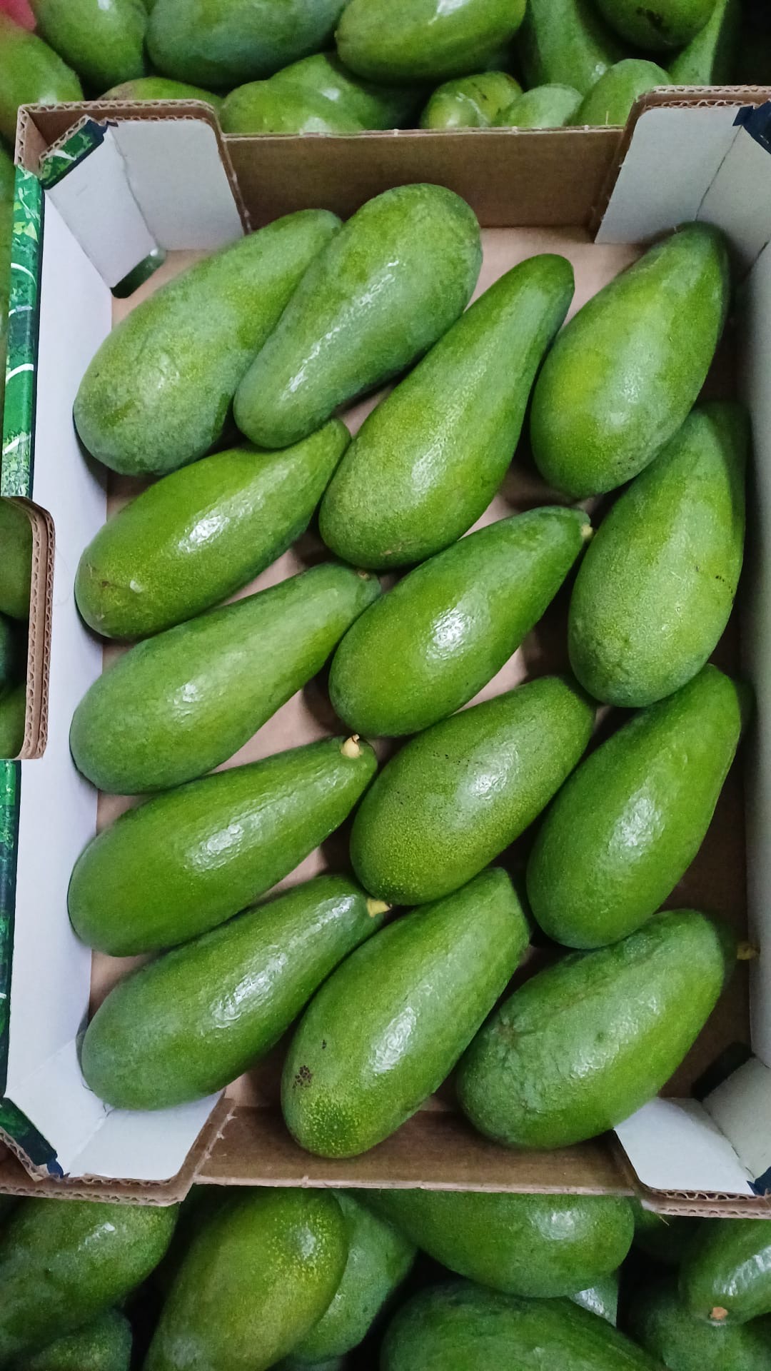 פרי וירק ארצנו